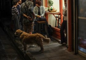 Iran Cracks Down on One Luxury Left to Its Youth: Coffee Shops