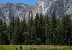 Trump Administration Looks to Give a Swath of Yosemite Park to Developer