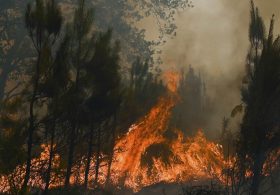 Stop Blaming the Climate for Wildfires We Can Prevent