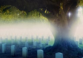 Why I’ve Spent My Summer Haunting Cemeteries
