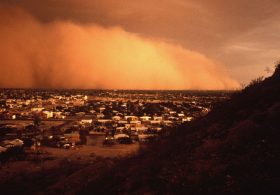 ‘Fungal storm’ panic as disease-carrying dust threatens millions