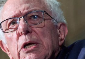 Bernie Slanders