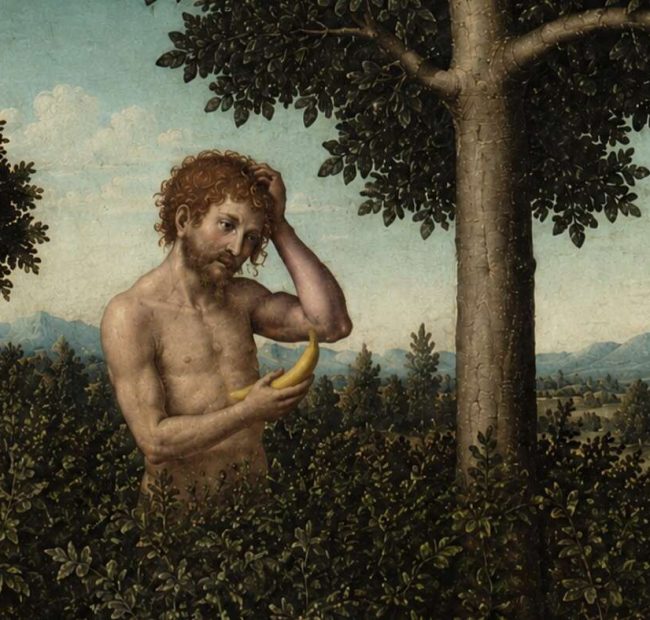 After Observing Adam For Two Minutes, God Decides Man’s Going To Need A Helper