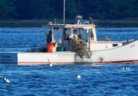 Maine Lobstermen’s Association fear becoming ‘collateral damage’ in Canada tariff war
