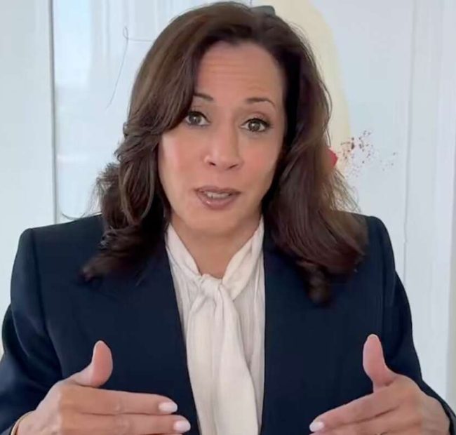 Kamala Harris Issues Dire Warning That SAVE America Act Could Result In America Being Saved