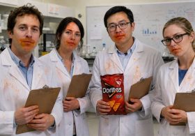 Scientists Determine Ultra-Processed Foods Like Nacho Cheese Doritos Are Exceptionally Delicious, But More Extensive Testing And Many More Bags Are Needed To Draw A Final Conclusion