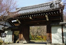 Malcolm’s Memories: My American Family Tries to Decipher Life in Japan
