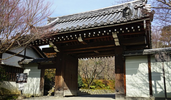 Malcolm's Memories: My American Family Tries to Decipher Life in Japan 75 650x0 1