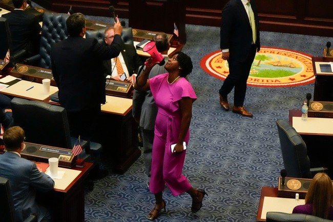 Socialist Angie Nixon Says Billionaires and Elected Officials Are Conspiring to Keep Students Dumb 7d07b3 2