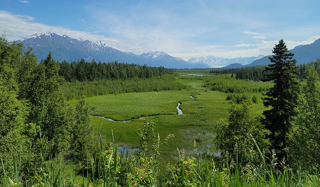 This Is What a Heat Wave in Alaska Looks Like 84 939db7259bd8