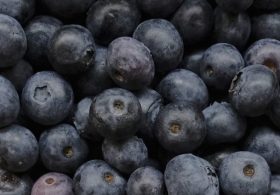 Frozen blueberries recall categorized under FDA’s highest Class I risk level