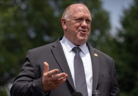 Homan defends ICE electric shock gloves as alternative to lethal force