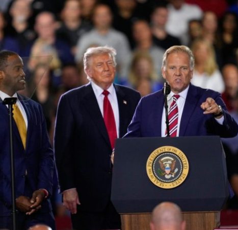 Trump may be just what Michigan Democrats need after bruising primary