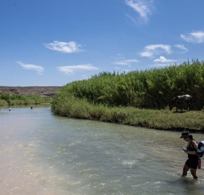 Construction on a border security measures in Texas national park halted, Rodney Scott says