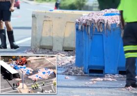 20 tons of slimy squid spill on Rhode Island roadway — blanketing area in foul odor