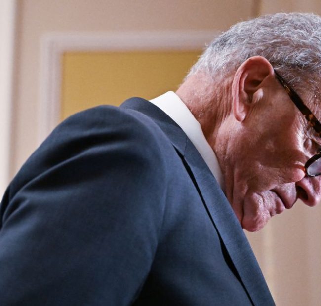 Chuck Schumer’s Grip on Power Weakens as He Suffers Another Dem Primary Crusher