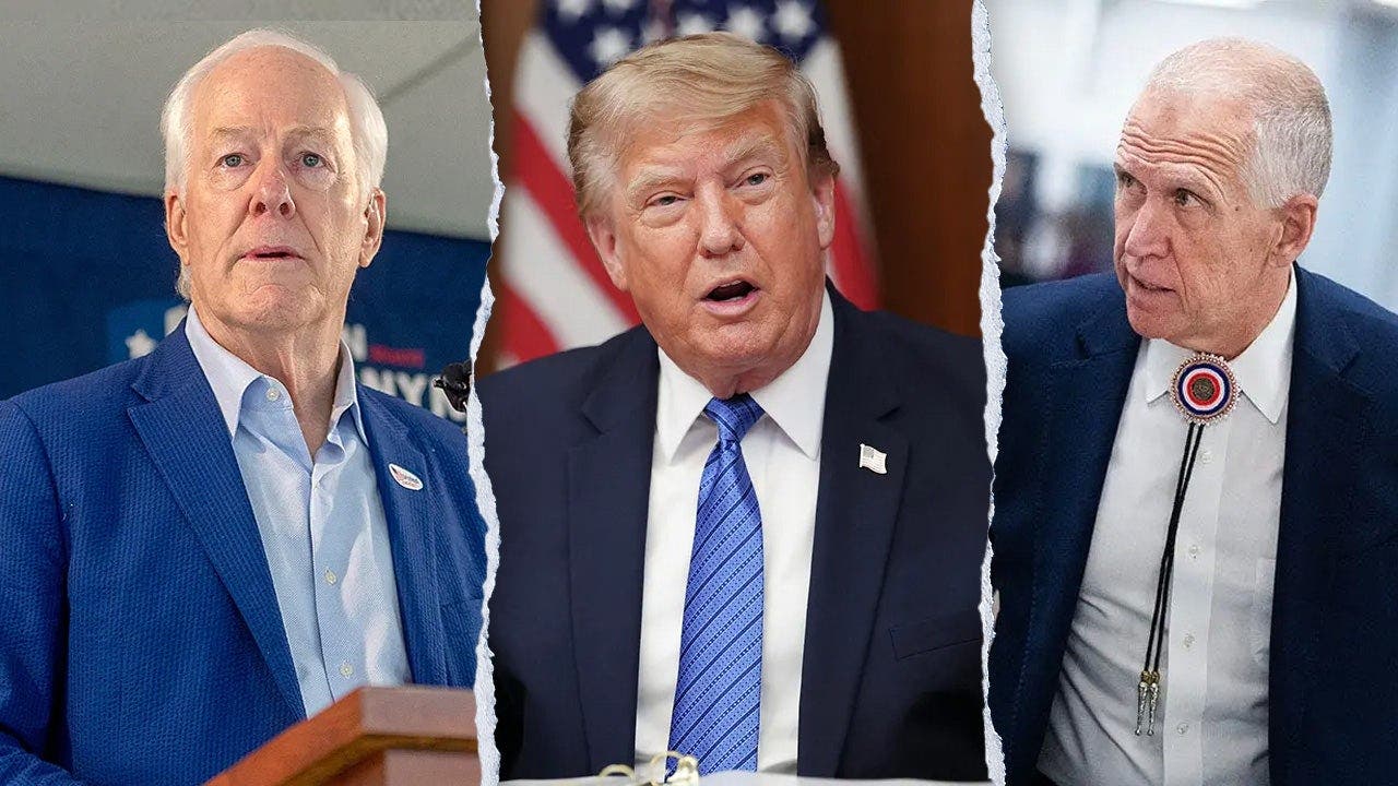 Trump's AG pick off life support after key Republican rebels relent Cornyn Trump Tillis 001 1