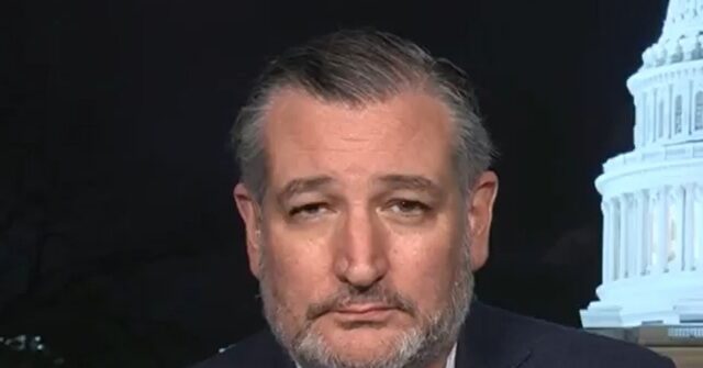 Cruz: 'I Don't Like Flock Cameras', Shouldn't 'Be Surveilling Innocent Citizens' Cruz342026 640x335 2