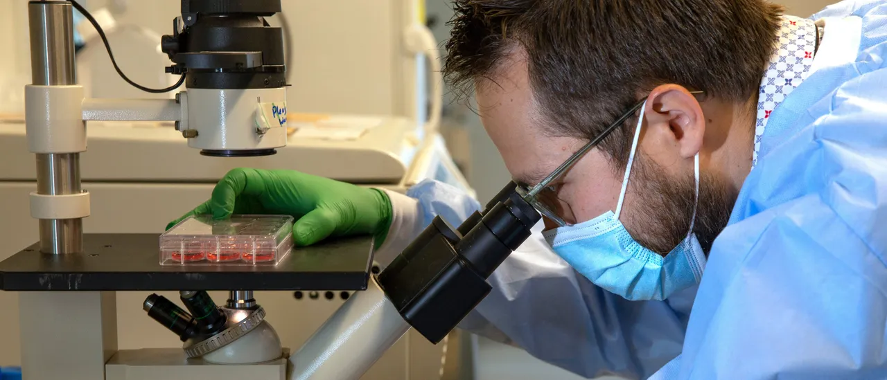 Scientists Raise Safety Concerns After AI Used To Design New Viruses GettyImages 1230072402copy