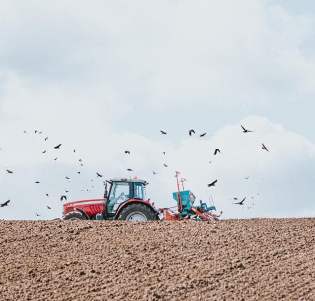 He turned down millions of dollars of solar money to save his farm. Then came the audit.