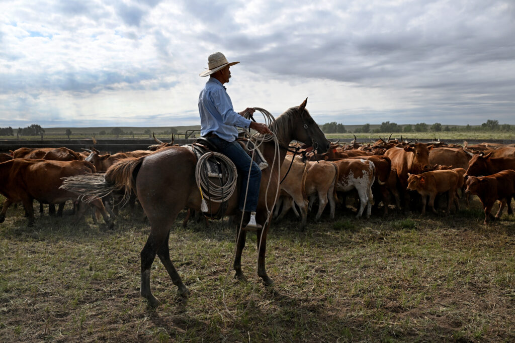 Ranchers, Lawmakers Slam Trump’s Beef Tariff ‘Betrayal’ GettyImages 2160026117 1024x683 1