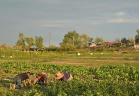 What’s next for the farm bill?