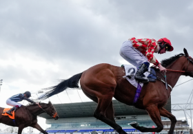 Nolte: 52 Percent of Gen Z Morons Have Moved Money from Investments to Sports Betting