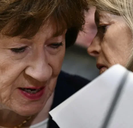 Why Does Susan Collins Oppose Confirming Blanche? One Reason Involves Abortion Pills