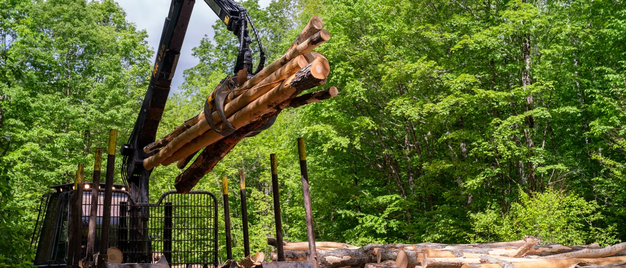 Trump Admin Seeks To Develop Millions Of Acres Of National Forest Land GettyImages 2279119559