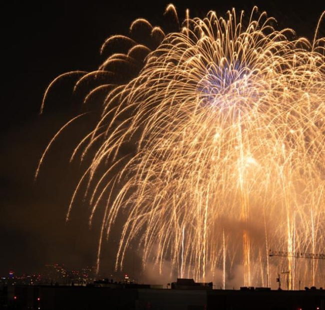 Fireworks after Trump’s July 4 speech named largest display in history by Guinness World Records