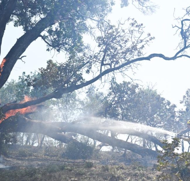 Timber Fire grows along California iconic, rugged Big Sur coastline, forcing evacuations, closures