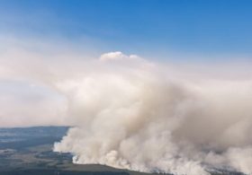 Hundreds Forced to Evacuate Amid Massive Wildfire in Belgium