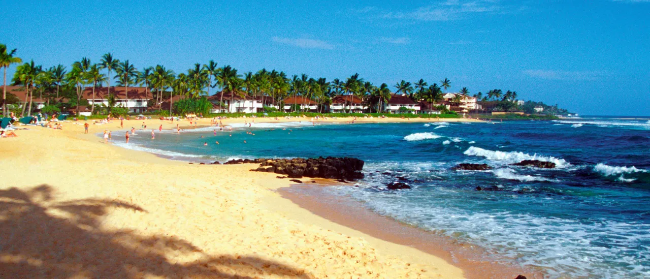 Hawaii Democrat’s Beach Rampage Ends With One-Punch Knockout GettyImages medwt240761
