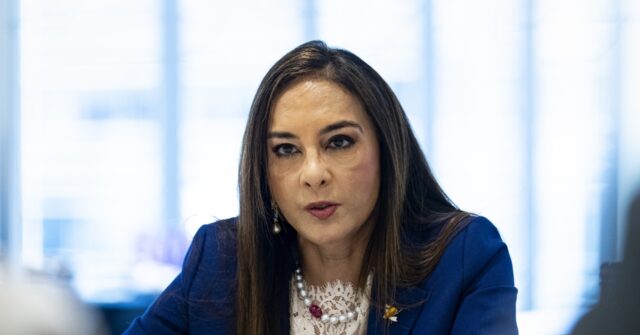 Trump's Civil Rights Chief: CEOs Cannot Discriminate Against U.S. Citizens Harmeet Dhillon responds 640x335 1