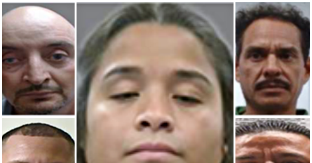 ICE Arrests Illegal Aliens Convicted of Murder, Domestic Abuse, Child Cruelty ICE 12 640x335 1