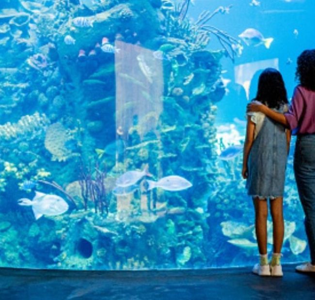 Report Exposes the Smithsonian Zoo’s Leftist Activism: DEI, Feminism, and Queer Activism