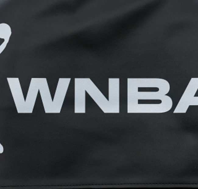 Republican Calls Out WNBA for ‘Trying to Have it Both Ways’ on Women’s Rights