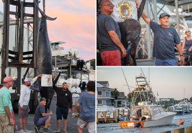 Fishermen stunned when they hooked this massive sea beast — believed to be the biggest of its kind caught on East Coast