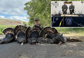 Hunting addict ordered to shoot TikTok apology as poaching probe finds 115 lbs of illegal turkey meat