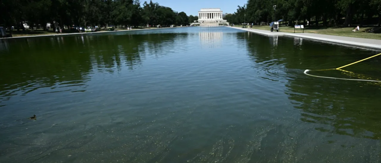 Trump Responds After DOJ Throws Interior Dept Under Bus In Dismissing ‘Botched’ Reflecting Pool Case Image8 1 26at203PM