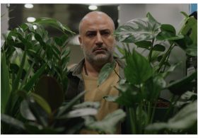 Iranian Director Ali Asgari Unveils First Clip From Venice-Bound ‘A Bit of Light’: ‘This Trump Guy Is Threatening to Bomb Here Every Day’ (EXCLUSIVE)