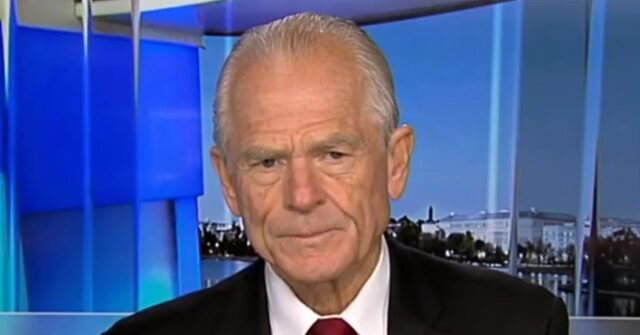 Navarro: Growing Out of Debt Best Case, But 'Difficult to Unwind' Biden Spending Navarro472025 640x335 1