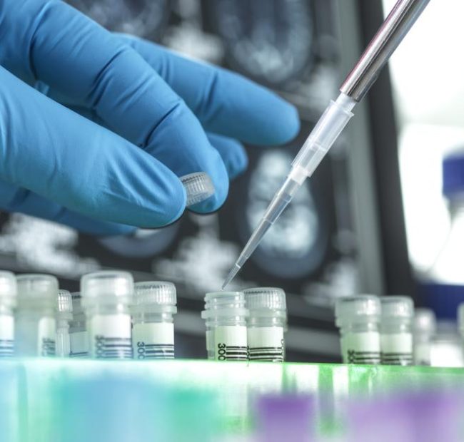 Pro-life group pushes for Senate investigation into NIH funding research using fetal organs, tissue