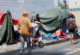 FBI Offers Cash Reward, Tip Line to Fight Animal Abuse on Los Angeles Skid Row