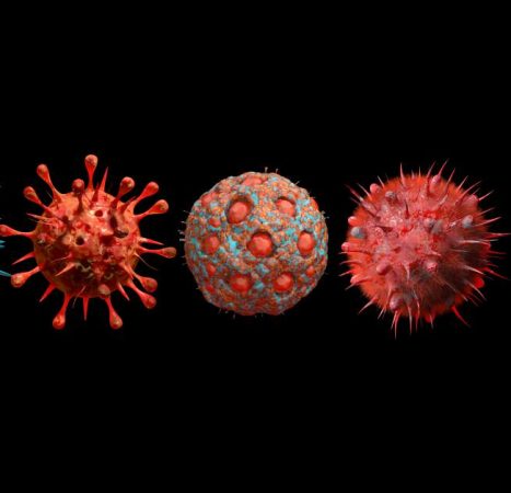 Scientists use AI to create viruses that don’t exist in nature, according to study