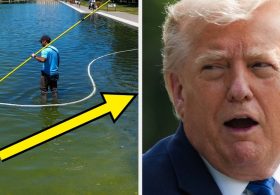 Trump Is Furiously Backpedaling On 1 Of His Central “Vandalism” Claims