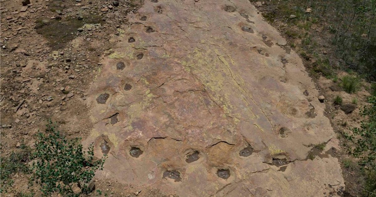 A 150-Million-Year-Old Dinosaur Trail May Preserve Evidence of a Limp That Walked in a Giant Loop aerial view loop section west gold hill dinosaur tracksite colorado