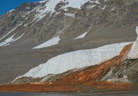Ancient Life Found Beneath Antarctica’s Blood Falls May Finally Solve Century-Old Mystery