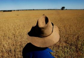 AI ‘Farmer’ Completely Destroys 25 Acres of Crops