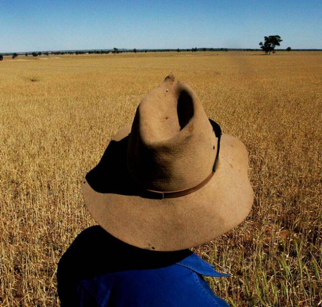AI ‘Farmer’ Completely Destroys 25 Acres of Crops